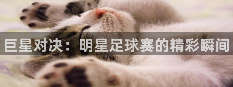 b体育网页版官网